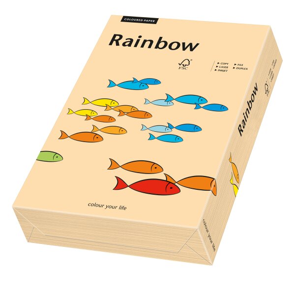 RAINBOW Farbpapier lachs A4 120g - 1 Karton (1250 Blatt)
