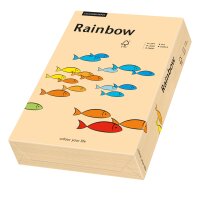 RAINBOW Papier couleur saumon A4 160g - 1 Carton (1250...