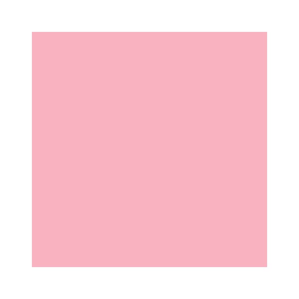 RAINBOW Papier couleur rose A4 80g - 1 Carton (2500 Feuilles)