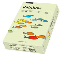 RAINBOW Farbpapier hellgrün A4 120g - 1 Karton (1250...