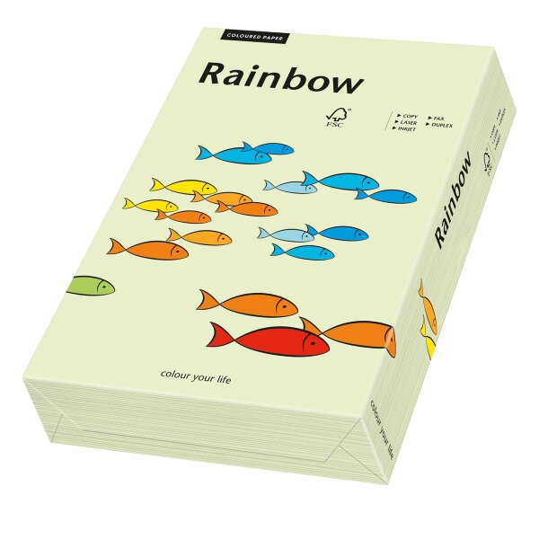 RAINBOW Farbpapier hellgrün A4 160g - 1 Karton (1250 Blatt)