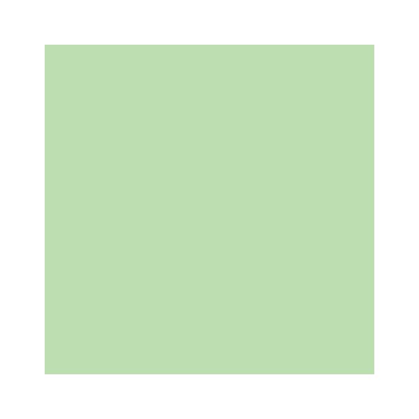 RAINBOW Papier couleur vert moyen A4 80g - 1 Carton (2500 Feuilles)