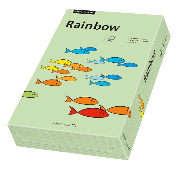 RAINBOW Papier couleur vert moyen A4 160g - 1 Carton (1250 Feuilles)
