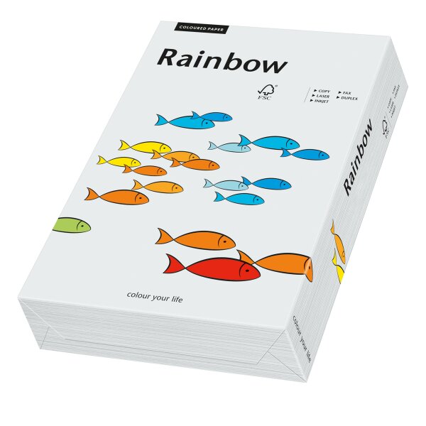 RAINBOW Farbpapier hellgrau A3 80g - 1 Karton (2500 Blatt)