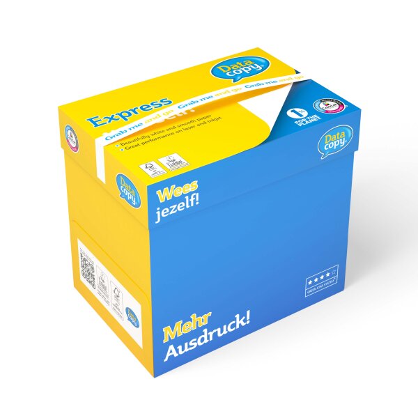 DATA COPY Premiumpapier hochweiss A4 90g - 1 Karton (2500 Blatt)