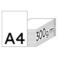 IMAGE Digicolor Farblaserpapier hochweiss A4 300g - 1 Karton (750 Blatt)