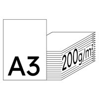 IMAGE Digicolor Farblaserpapier hochweiss A3 200g - 1 Palette (20000 Blatt)