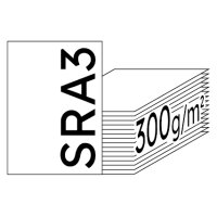 IMAGE Digicolor Farblaserpapier hochweiss SRA3 300g - 1 Palette (10000 Blatt)