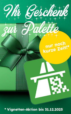 Kleines Paket, grün verpackt mit Schleife, davor grüne E-Vignette